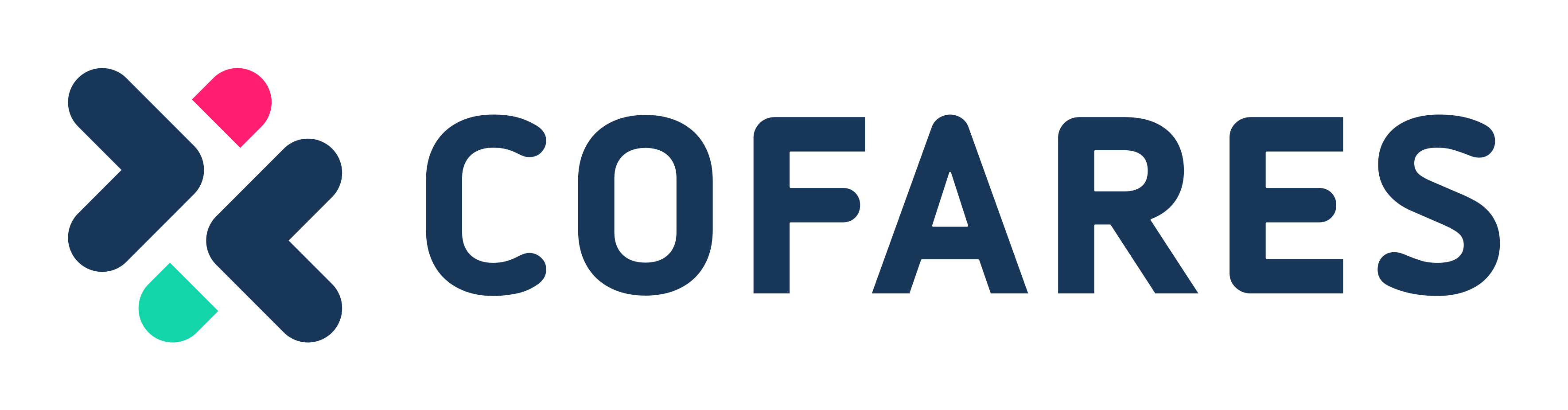 LOGO_COFARES_ON_POSITIVO-_3_